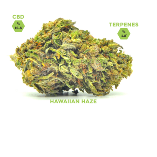 Hawaiian Haze CBD Hemp Flower