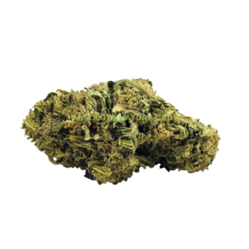 White Dragon CBG Hemp Flower