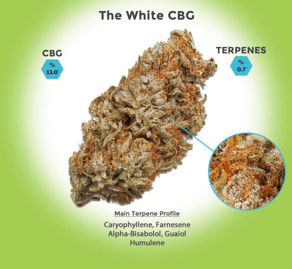 The White CBG Hemp Flower