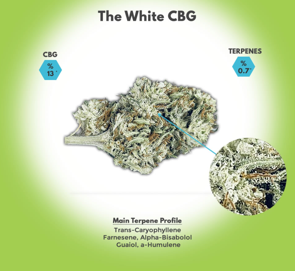 The White CBG Hemp Flower